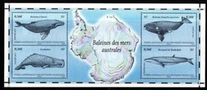 FRENCH SOUTHERN & ANTARCTIC TERRITORIES 2011 SGMS639 BALEEN WHALES MNH - Bild 1 von 1