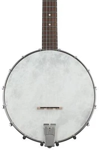 Recording King Dirty 30s Open-back Banjo - Picture 1 of 8