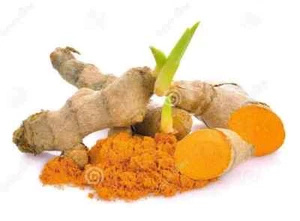 20+ Seeds Turmeric Root Seeds Curcuma Longa Rhizomes Root Herb & Organic NO GMO - Picture 1 of 4