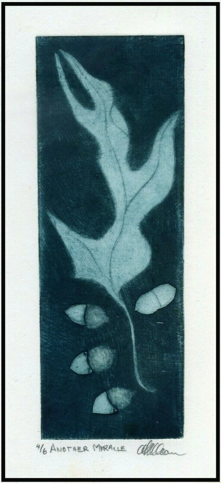 OAK TREE LEAF & ACORNS Botanical Print. Original Impressionist MEZZOTINT Signed - Image 1 of 1