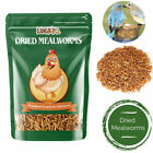 10oz Bulk Dried Mealworms for Wild Birds Food Blue Bird Chickens Hen Treats