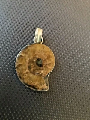 COLGANTE PLATA ESTERLINA CON MAGNÍFICA PIEDRA FÓSIL Foto 1 de 4