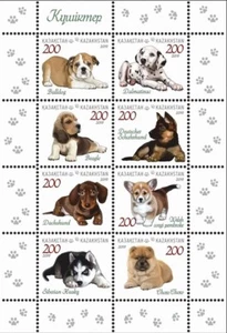 2019 Kazakistan cuccioli fauna cani nuovi di zecca - Foto 1 di 1