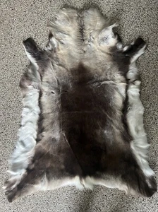 Beautiful Reindeer Rug Genuine Pelt Hide Fur 55x41 Cabin Decor - Picture 1 of 3