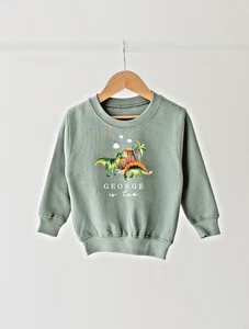 Personalised Birthday Sweatshirt Any name Age Dinosaur top Boys Girls baby - Picture 1 of 21
