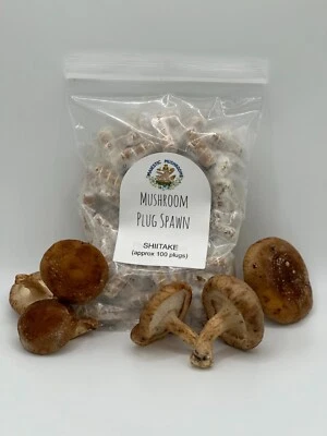 Enchufe de hongos Shiitake Spawn 100x - Envío GRATIS EE. UU. - ¡Cultiva hongos en troncos! Foto 1 de 4