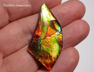 40 Carat.GEM Ammolite /Schmuckqualität ROT-Grün-Golden-Orange + VIDEO - Bild 1 von 8