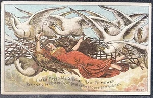 HALL’S HAIR RENEWER TRADE CARD~LONG HAIRED BEAUTY CARRIED IN NET BY FLYING SWANS - Picture 1 of 3