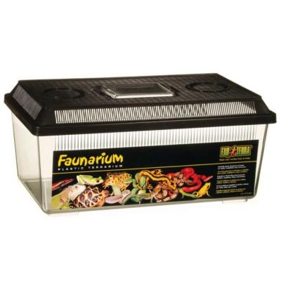Exo Terra Faunarium - flach, medium Terrarium ca. 37 x 22 x 16 cm PT2300