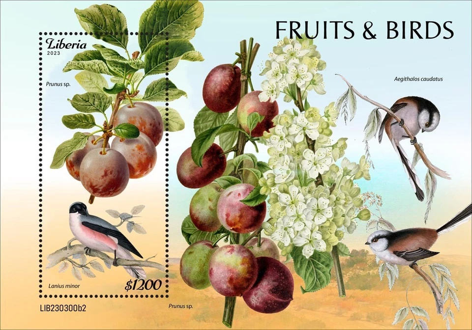 Estampillas de frutas y aves MNH 2023 Liberia S/S Foto 1 de 1