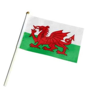 10 Fabric Welsh Hand Waving Flag Wales Football Celebration Party Dragon Flag - Picture 1 of 1