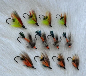 Fly Fishing Flies. "(12)" .Salmon Flies Combo. size #2-4-6 -8 Hooks. - Picture 1 of 8