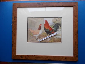 CHICKEN PRINT FRAMED (A) EARLY PRINT - Picture 1 of 1