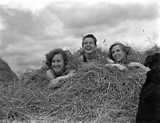 Three Girls in Haystack Straw Laughing DOG 1930s Glass Negative  4x3.5 inches