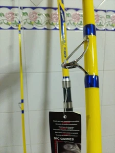 Caña Pesca Surf casting - Imagen 1 de 3