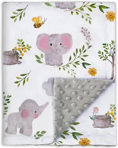 BORITAR Baby Blanket for Boys Girls Soft Plush Minky Fabric Blanket 30 x 40 Inch - Picture 1 of 6
