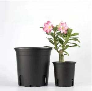1 Gallon Black Plastic Garden Plant Flower Pot Planter Nursery Pots 10Pcs - Picture 1 of 9