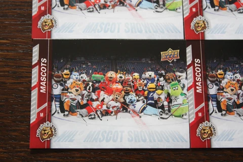 NHL Mascot hockey cards Cover
