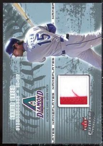 Shawn Green Card 2005 Fleer Platinum Nameplates Patch Platinum #SG 