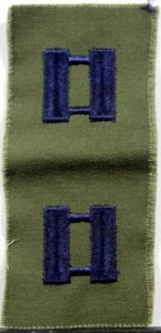Fuerza Aérea de los Estados Unidos USAF Capitán CAPT Par Oliva Drab Verde Fatiga Rango Insignia - Imagen 1 de 1