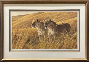 Robert Bateman - African Amber - Framed Paper Print - Picture 1 of 1