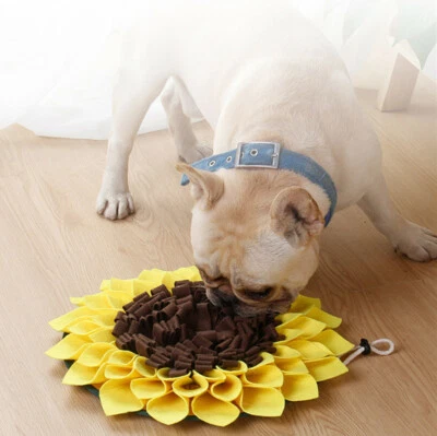 Schnüffelteppich Hunde Katze Langsam Futter Matte Trainingmatte Puzzle Spielzeug - Bild 1 von 4