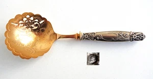 CUILLERE à SUCRE / FRAISES - Manche en Argent Massif Epoque Art-Nouveau ca 1900 - Picture 1 of 5