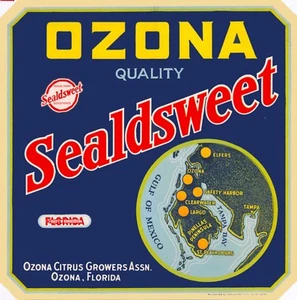 Ozona Florida Ozona Sealdsweet Brand Orange Citrus Fruit Crate Label Print - Bild 1 von 1