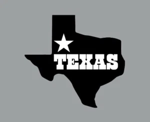 Texas State Die Cut Glossy Fridge Magnet - Picture 1 of 3