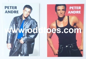Peter Andre Werbepostkarten 2er Set (2) RAR - Bild 1 von 2