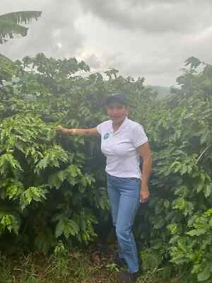 BLUE MACAW COFFEE ROASTERS COSTA RICAN GEISHA COFFEE BEANS MEDIUM ROASTED 2 POUNDS IN 1 POUND BAGS