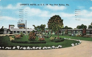 NEW PORT RICHEY FL LIPPERT'S MOTEL 1955 VINTAGE POSTCARD 032425 U - Picture 1 of 2