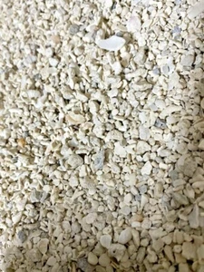 100% ARAGONIT KORALLENMUSCHEL-SAND TROPISCHES RIFF MARINE-BUNTBARSCH-AQUARIUM-KIES - Bild 1 von 2