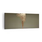 Canvas Print 120x50cm Wall Art Picture Ballerina Figure Dancing Framed Artwork