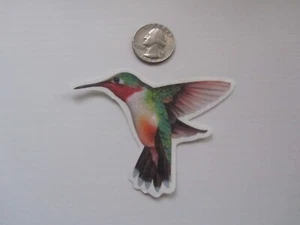 Temporary Tattoos - Hummingbird (approx. 3" long) - Picture 1 of 1