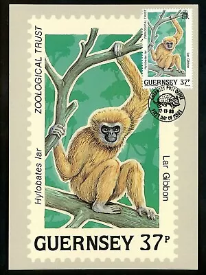Postal History Guernsey FDC #416-420 SET OF 5 Maximum Card monkey sloth 1989 - Image 1 of 4