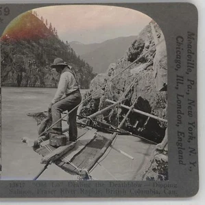 Old Lo Dipping Salmon Death Blow Fraser River Rapids BC Canada Stereoview c1920 - Picture 1 of 3