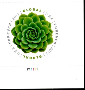 US NATURE 2017 SCOTT #5198 SUCULENTAS VERDES COMESTIBLES UNO GLOBAL PN#SELLO PARA SIEMPRE - Imagen 1 de 4