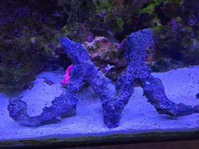 Símbolo de anime "Majin" de roca de arrecife con paisaje acuario de agua dulce y salada Foto 1 de 3