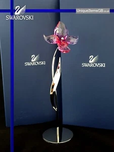 SWAROVSKI CRISTALLO PARADISO FIORI DORORA PIOGGIA FUCSIA 681542 + SCATOLA + COA - Foto 1 di 12