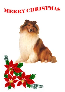 COLLIE DOG SINGLE DOG PRINT GREETING CHRISTMAS CARD - Picture 1 of 1