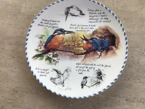 KINGFISHER LOVERS COLLECTORS PLATE - Picture 1 of 4