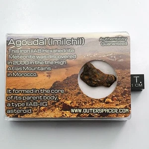 Agoudal Imilchil Iron IIAB Meteorite | Complete Specimen | 5.55g | IMCA 5751 - Imagen 1 de 7
