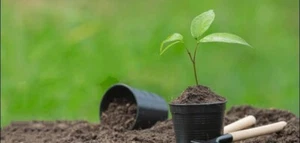 ORGANIC COMPOST HYDROPONIC GROWING MEDIA | COCO COIR COCO PEAT 100% NATURAL - Picture 1 of 5