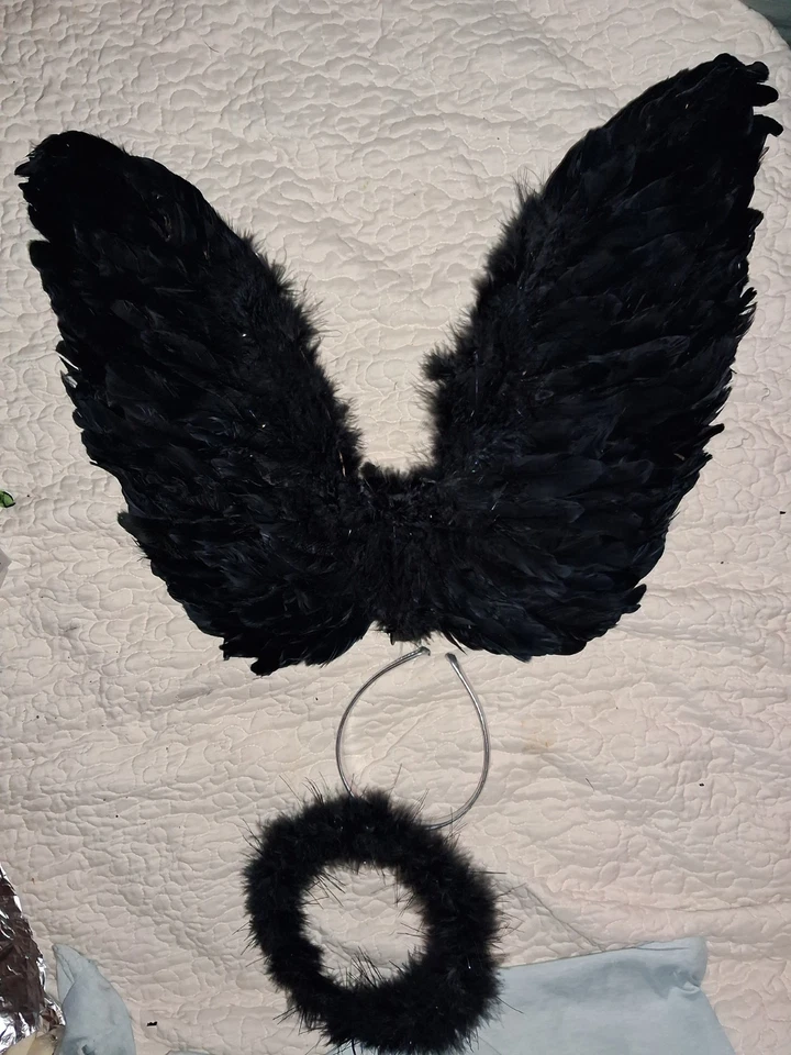 TOTALMENTE NUEVO Disfraz de Halloween Alas de Ángel Caído Negro y Halo Foto 1 de 1