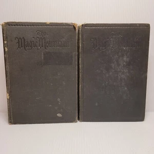 The Magic Mountain, Thomas Mann, 1938 Knopf First US Edition, Volume One & Two - Imagen 1 de 7