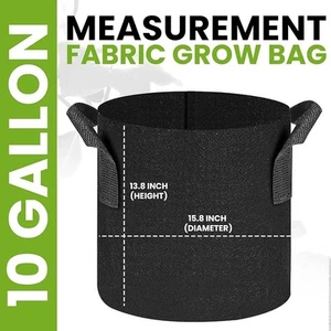 10 Gallonen schwarz 2er Pack Grow-Bags mit Fensterzugang, Griffen und toller Drainage! - Bild 1 von 3