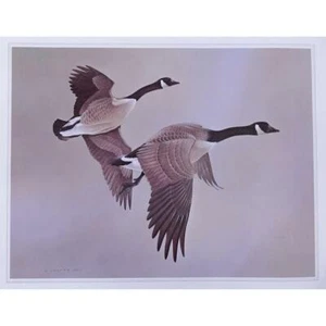 Canadian Geese Waterfowl Print by Martin Glen Loates - Picture 1 of 11