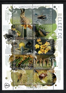 Nederland - Beleef de Natuur - Landgoed Haarzuilens - Park bij de Stad KB 2021 - Imagen 1 de 1