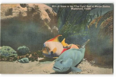 Postal de colección SK2 A Scene in the 7-Ton Coral Reef, Marineland, Florida. Foto 1 de 2